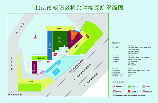 大肉棒插视频北京市朝阳区桓兴肿瘤医院平面图